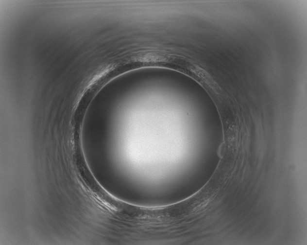 X0000052950727200507151708