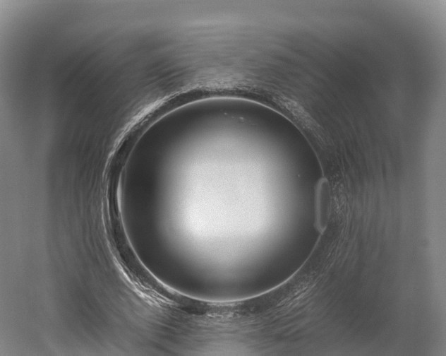 X0000052950728200507151708