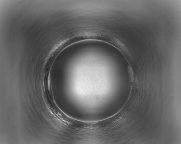 X0000052950732200507151708