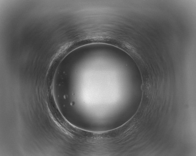 X0000052950734200507151708
