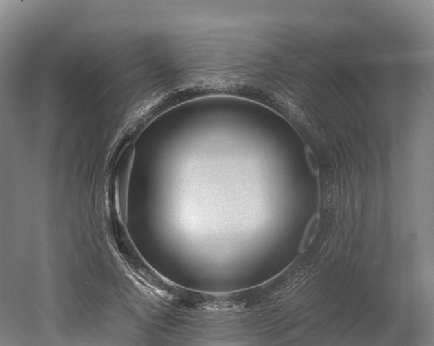 X0000052950736200507151709