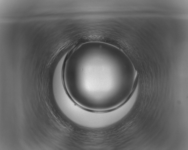 X0000052950739200507151709