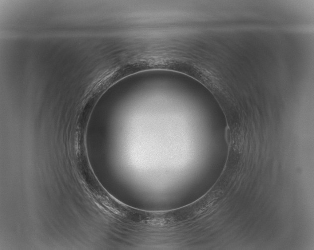 X0000052950740200507151709