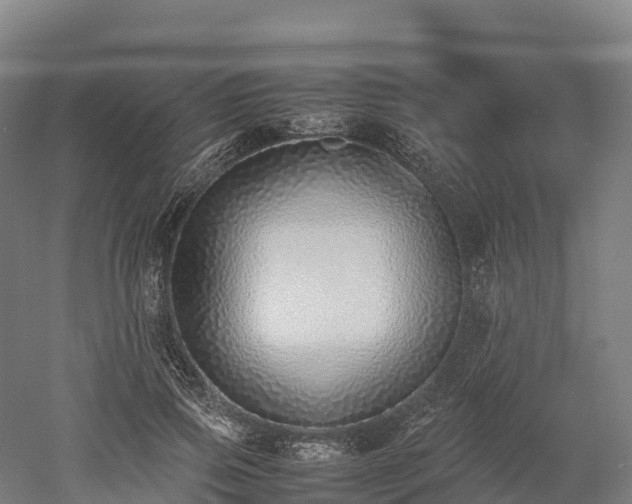 X0000052950741200507151709