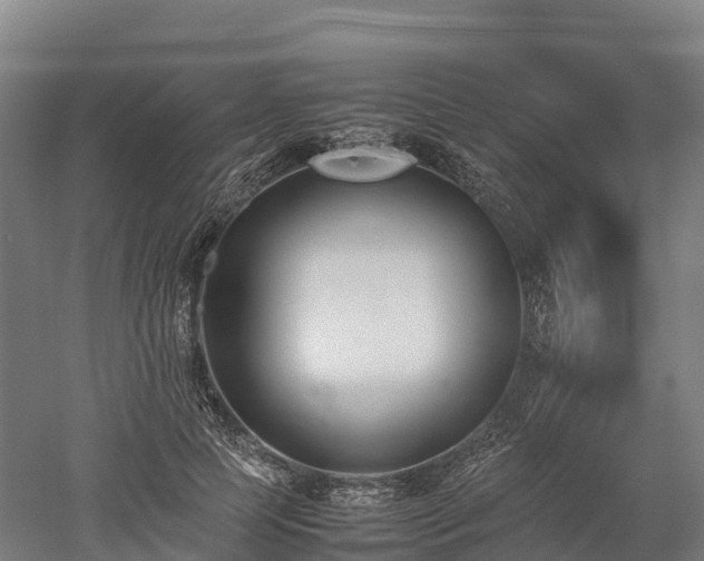 X0000052950745200507151709