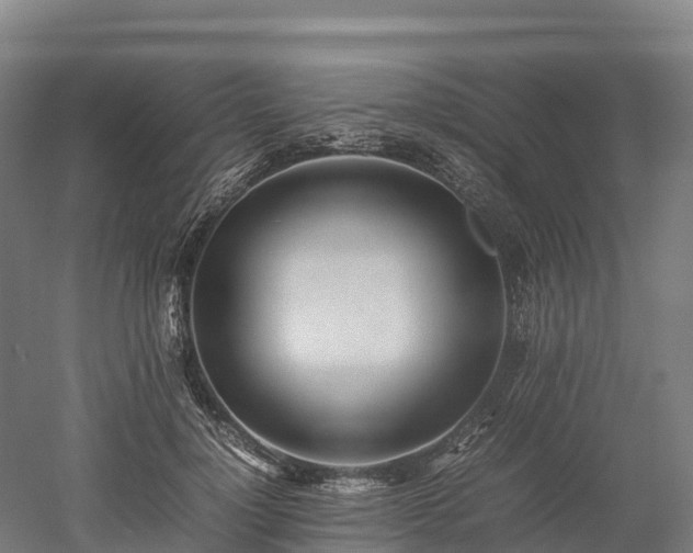 X0000052950748200507151709
