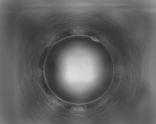 X0000052950751200507151709