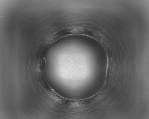 X0000052950755200507151709