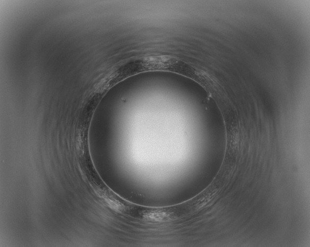 X0000052950759200507151709