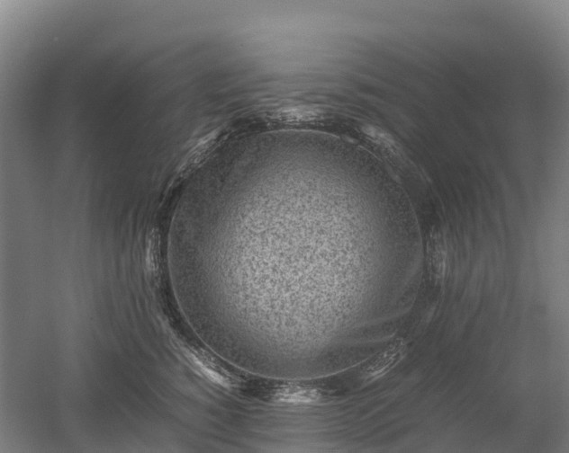X0000052950760200507151709