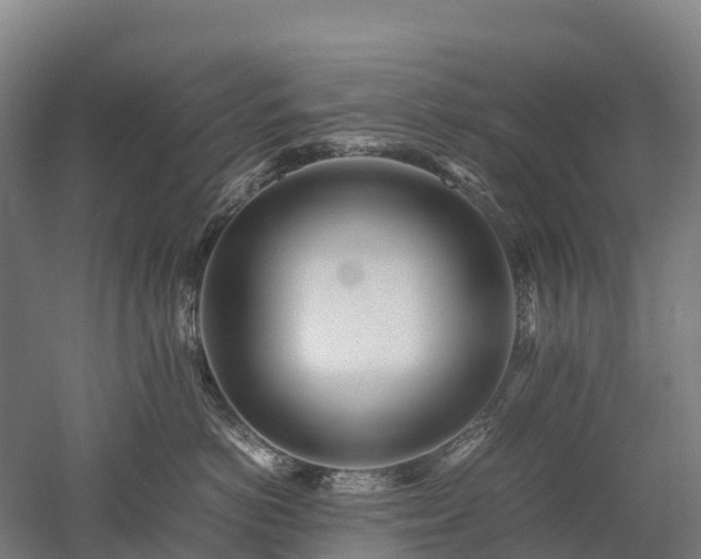 X0000052950766200507151709
