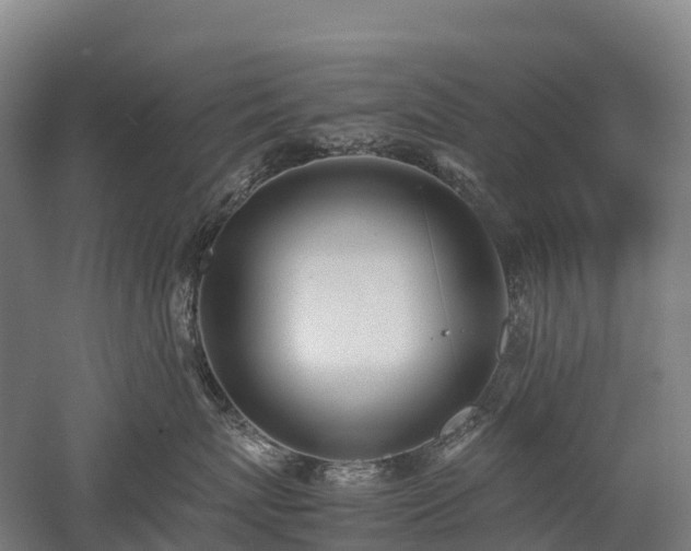 X0000052950767200507151709