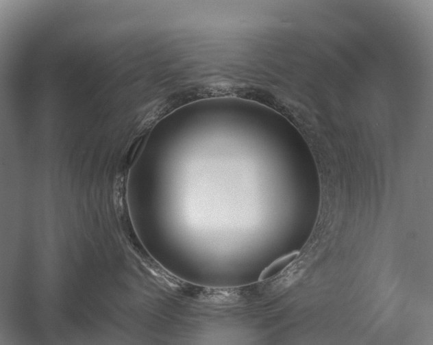 X0000052950768200507151709