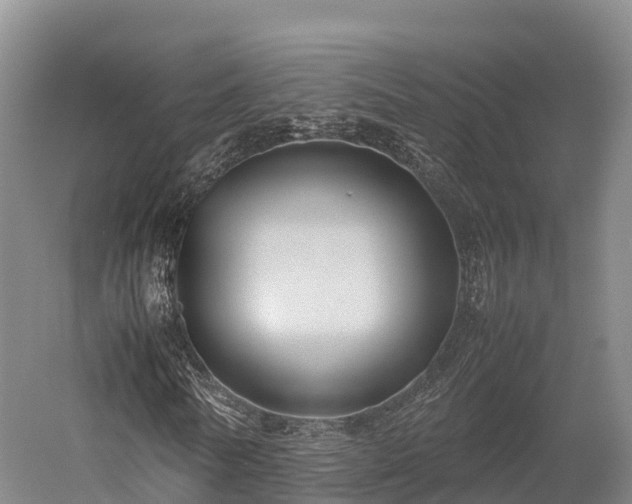 X0000052950770200507151708