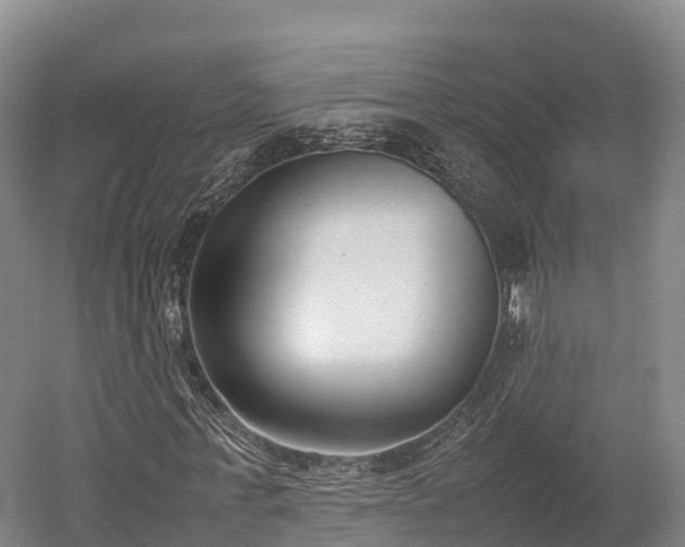 X0000052950771200507151708