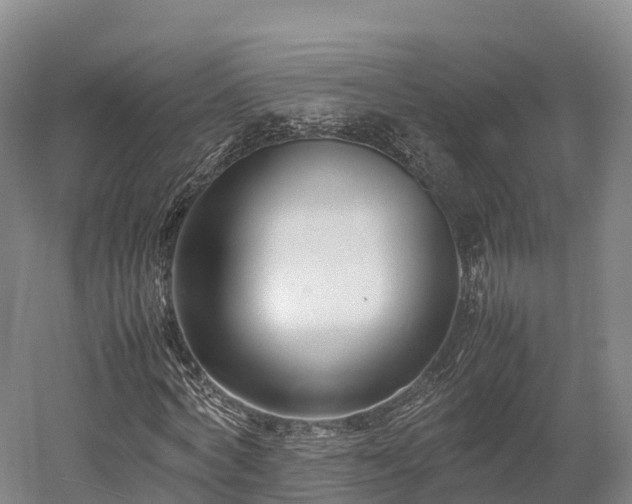X0000052950772200507151708