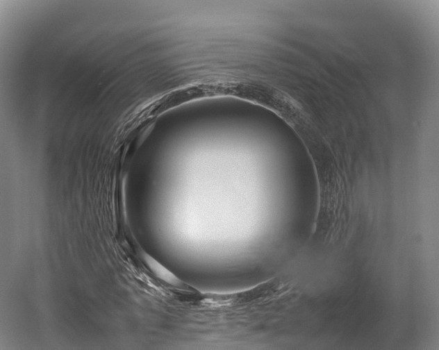 X0000052950773200507151708