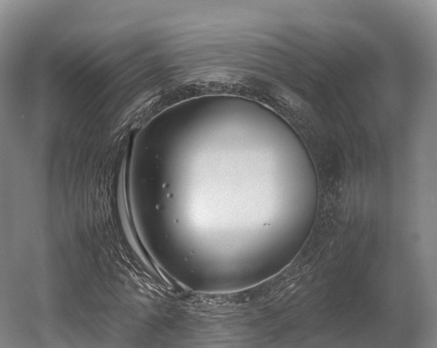 X0000052950774200507151708