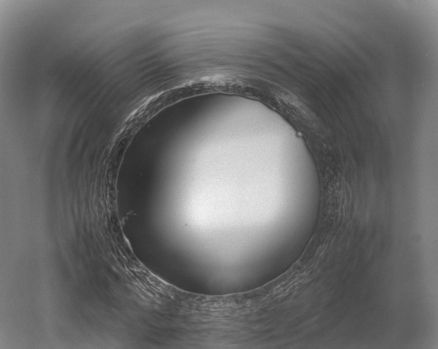 X0000052950776200507151708