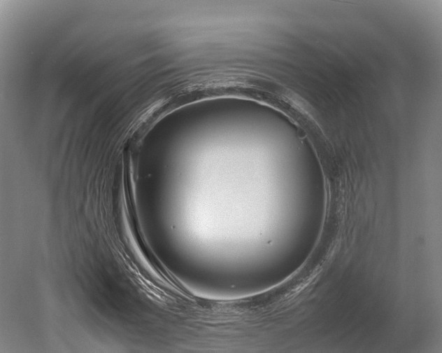 X0000052950777200507151708