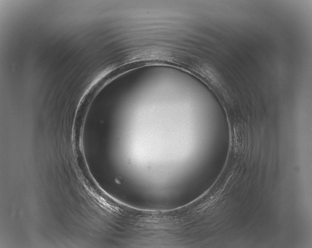 X0000052950780200507151708