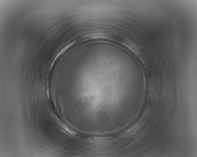 X0000052950782200507151708