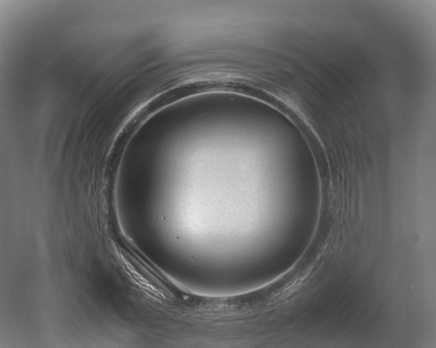 X0000052950783200507151708