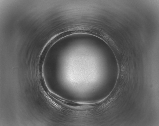 X0000052950784200507151708