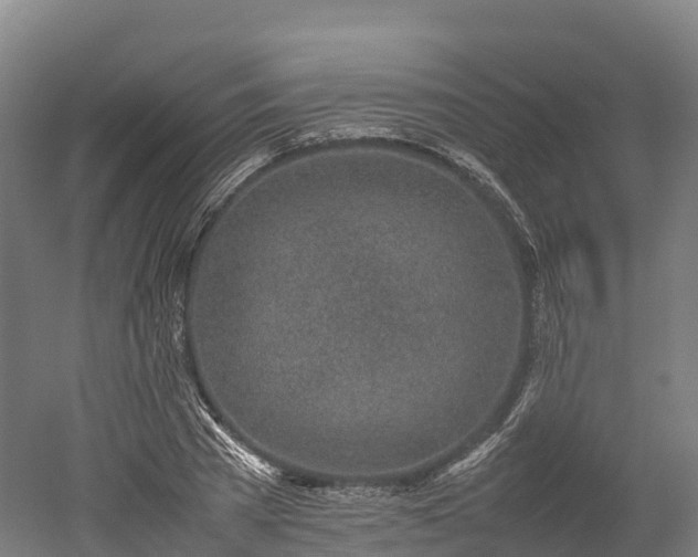 X0000052950785200507151708