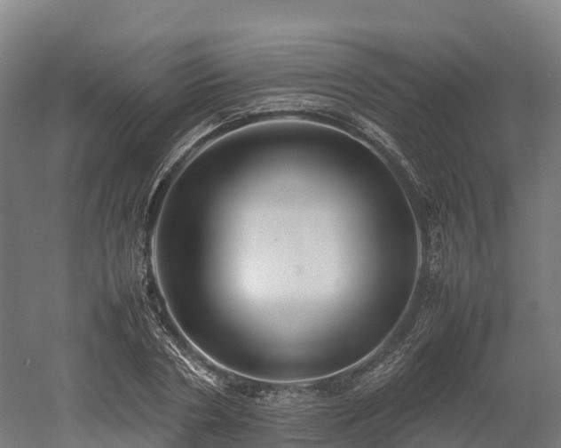 X0000052950786200507151708