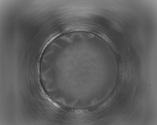 X0000052950790200507151708