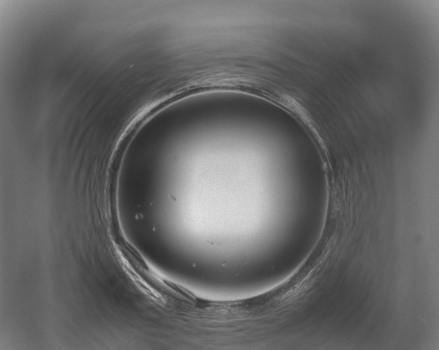 X0000052950795200507151708
