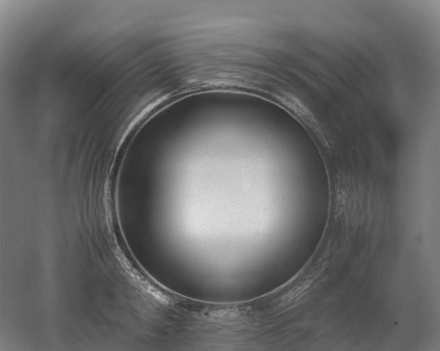 X0000052950798200507151708