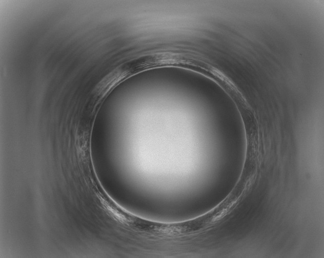 X0000052950801200507151708