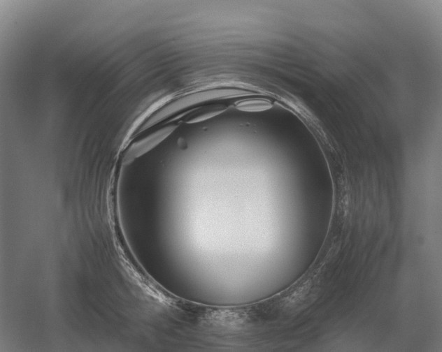 X0000052950806200507151708