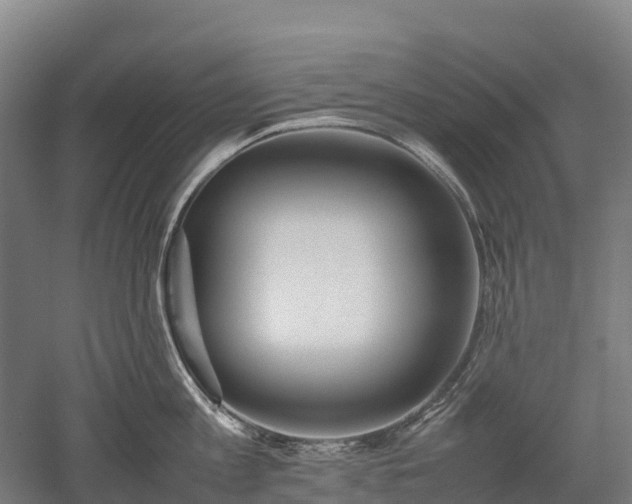 X0000052950813200507151707