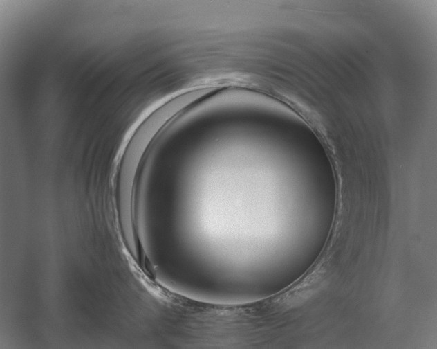 X0000052950816200507151707