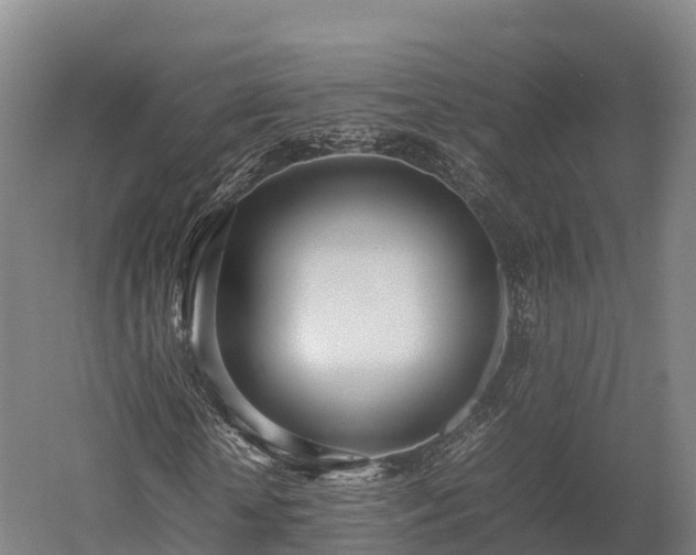 X0000052950818200507151707