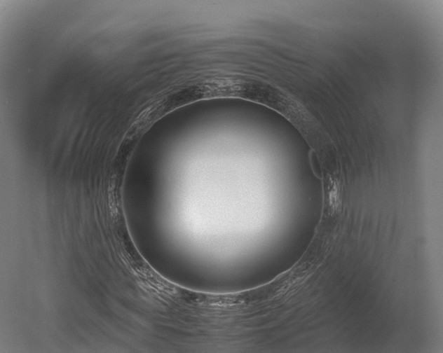 X0000052950819200507151707