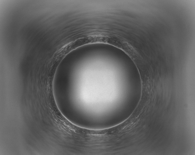 X0000052950821200507151707