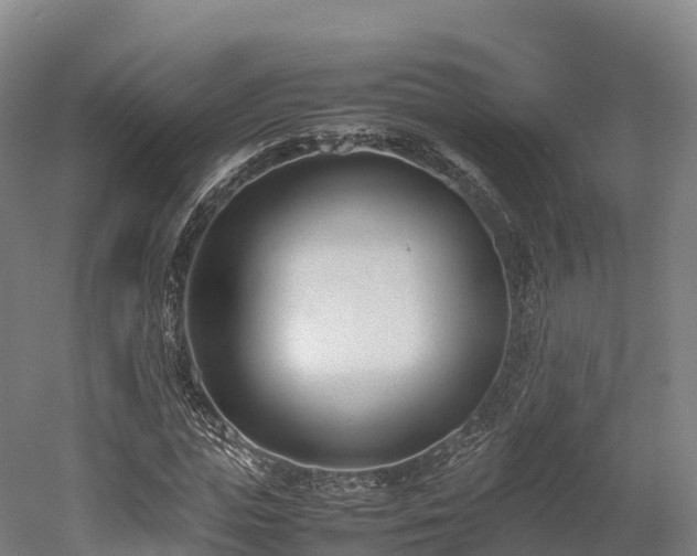 X0000052950823200507151707