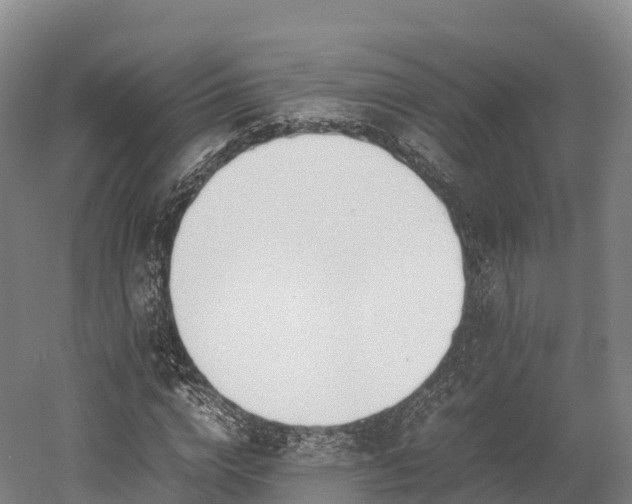 X0000052950824200507151707