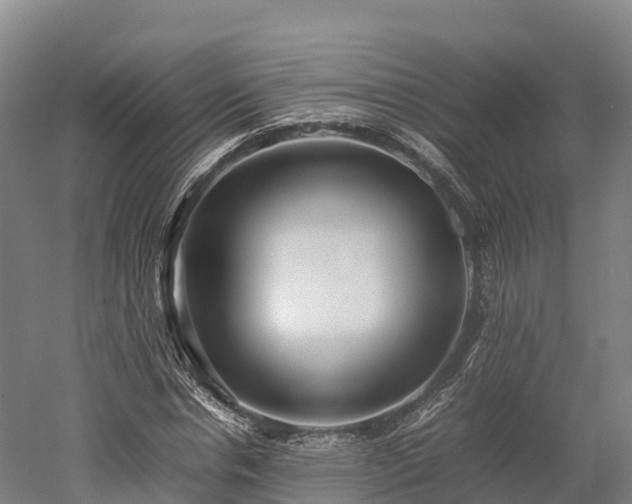 X0000052950826200507151707
