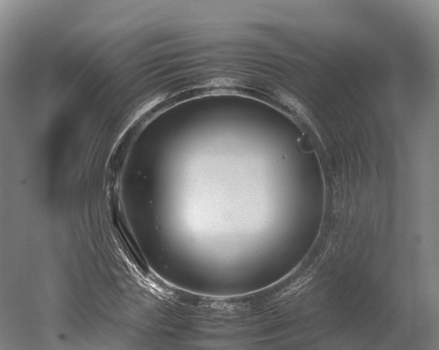 X0000052950827200507151707