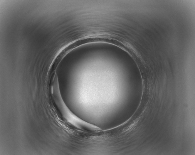 X0000052950830200507151707