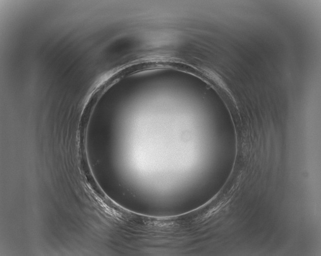 X0000052950831200507151707