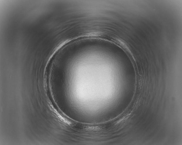 X0000052950835200507151707