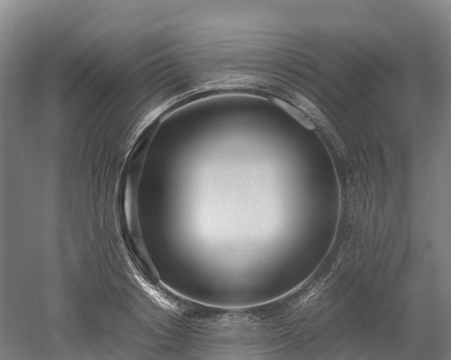X0000052950842200507151707