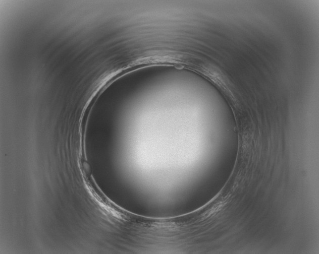X0000052950844200507151707