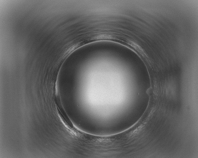 X0000052950849200507151707